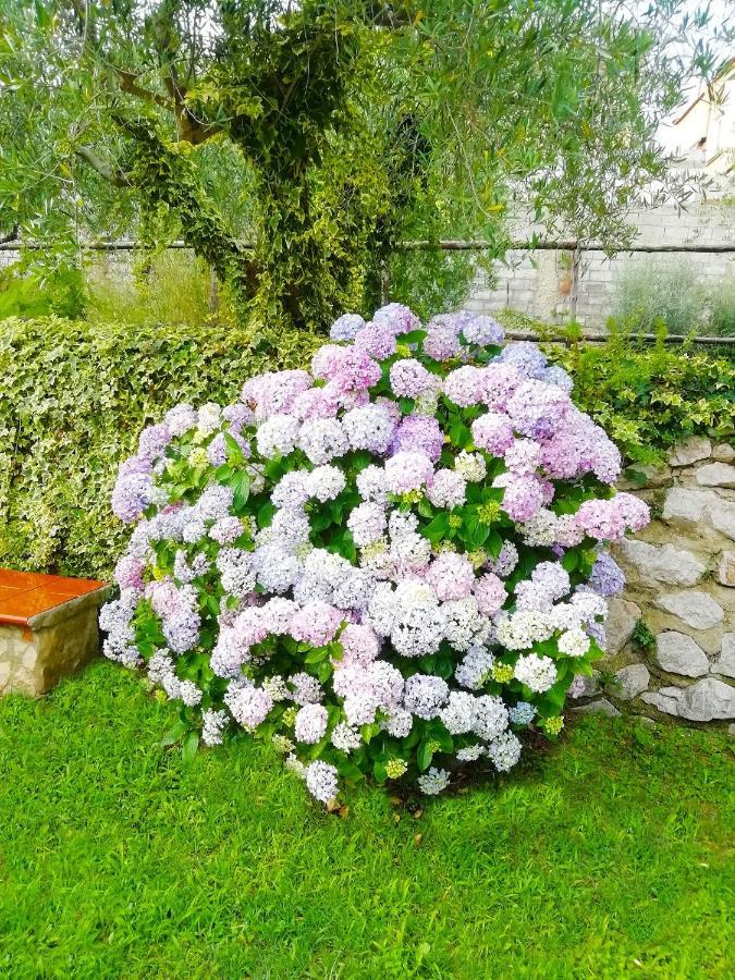 B&B Maison Villa Vittorio Avella Kültér fotó